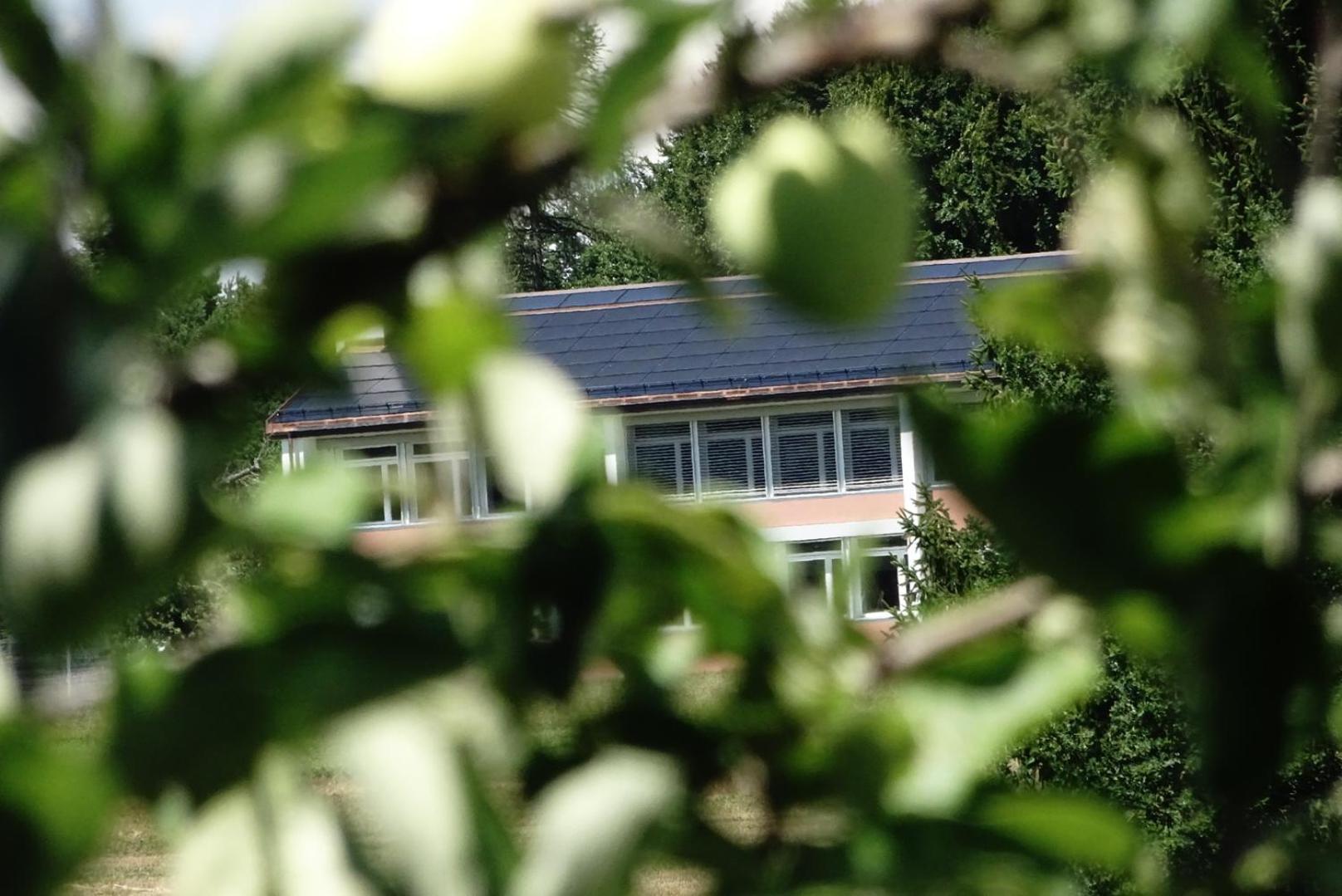 Naturnahe Familienwohnung Ruschegg Zewnętrze zdjęcie
